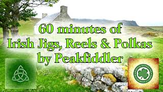 60 minutes Irish Jigs Reels amp Polkas [upl. by Norym350]