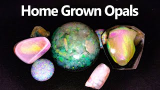 Can you GROW an Opal [upl. by Laney]