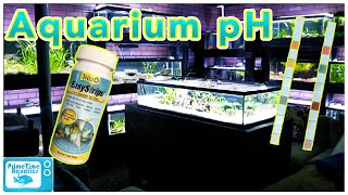 Aquarium pH Everything You NEED to KNOW [upl. by Bugbee920]