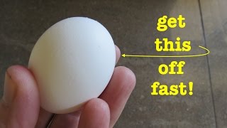 The Easiest Way To Peel an Egg  that actually works [upl. by Cassandra379]