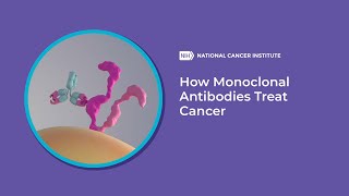 How Monoclonal Antibodies Treat Cancer [upl. by Jareen]