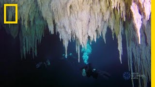 Explore the Worlds Largest Underwater Cave  National Geographic [upl. by Vanya924]