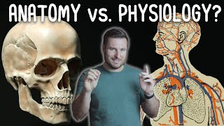 Whats the Difference Between Anatomy and Physiology  Corporis [upl. by Bennion78]