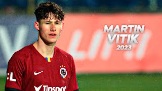 Martin Vitík  Solid and Technical Defender 2024ᴴᴰ [upl. by Stubstad55]