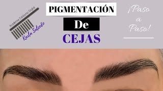 Pigmentación de cejas J Denis Paso a Paso [upl. by Ecilahs521]