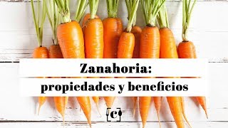 Zanahoria propiedades beneficios y valor nutricional [upl. by Notgnilliw64]