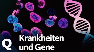 Epigenetik Warum eineiige Zwillinge für die Krebsforschung wichtig sind  Quarks [upl. by Ringsmuth]