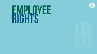 HR Basics Employee Rights [upl. by Benjamen]