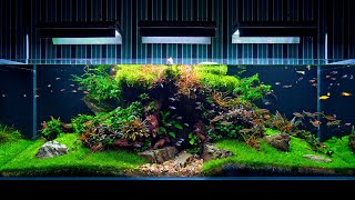 Aquarium Maintenance On Client Location  4K Cinematic  Green Aqua [upl. by Arihsay]