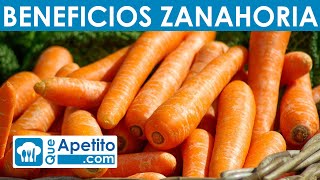 8 Propiedades y Beneficios de la Zanahoria  QueApetito [upl. by Karlie365]