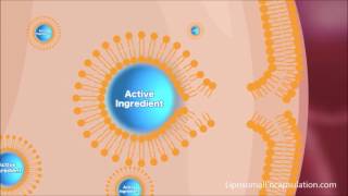 Liposomal Encapsulation Technology [upl. by Alfie]