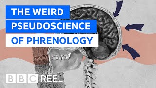 Phrenology The weirdest pseudoscience of them all  BBC REEL [upl. by Ydarg]