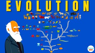 Darwins theory of Evolution A REALLY SIMPLE and Brief Explanation [upl. by Vial]