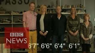 Why are the Dutch so tall BBC News [upl. by Bough]