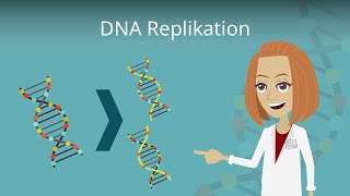 DNA Replikation einfach erklärt [upl. by Ydisahc463]