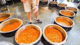 Indian Street Food FACTORY  Enter Street Food HEAVEN  Hyderabad India  BEST Street Food in India [upl. by Ymerej787]