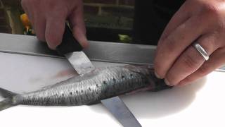 Passionate About Fish  How to prepare Sardines [upl. by Milka]