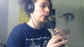 Traditional Irish Tin Whistle Songs [upl. by Arabela]