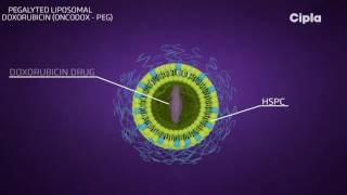 Liposomal technology [upl. by Haimarej]