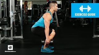 How to Dumbbell Squat  Mike Hildebrandt [upl. by Varrian575]