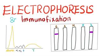 Electrophoresis Immunoelectrophoresis and Immunofixation [upl. by Najed540]