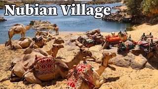 Nubian Village Tour in Aswan Egypt [upl. by Akinehs249]