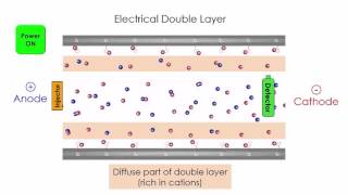 Capillary Electrophoresis [upl. by Sekofski184]