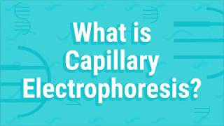 What Is Capillary Electrophoresis [upl. by Aydiv]