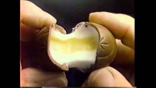 Cadbury Creme Eggs Commercial Early 80s [upl. by Mignon]