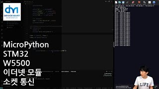 MicroPython  STM32 W5500 이더넷 모듈 소켓 통신 [upl. by Tandy]