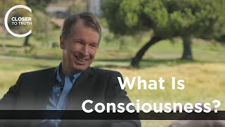 Donald Hoffman  What is Consciousness [upl. by Hayarahs]