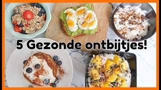 5 Recepten voor een Gezond Ontbijt  OPTIMAVITA [upl. by Elfont]