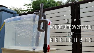 DIY Aquarium Overflow Design for Beginners Tutorial [upl. by Solita]