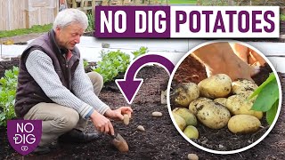 No dig Potato Gardening Expert Tips from Charles Dowding [upl. by Notse333]